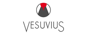 Vesuvius India Ltd